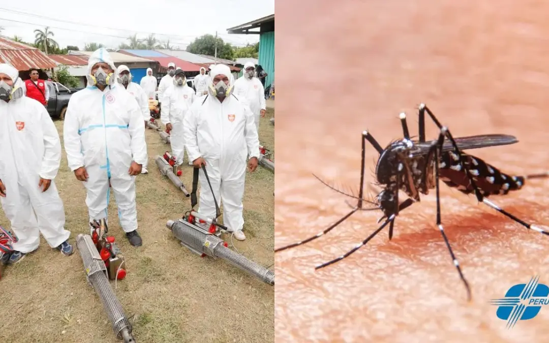 Epidemia del Dengue se extendería hasta Junio en Perú