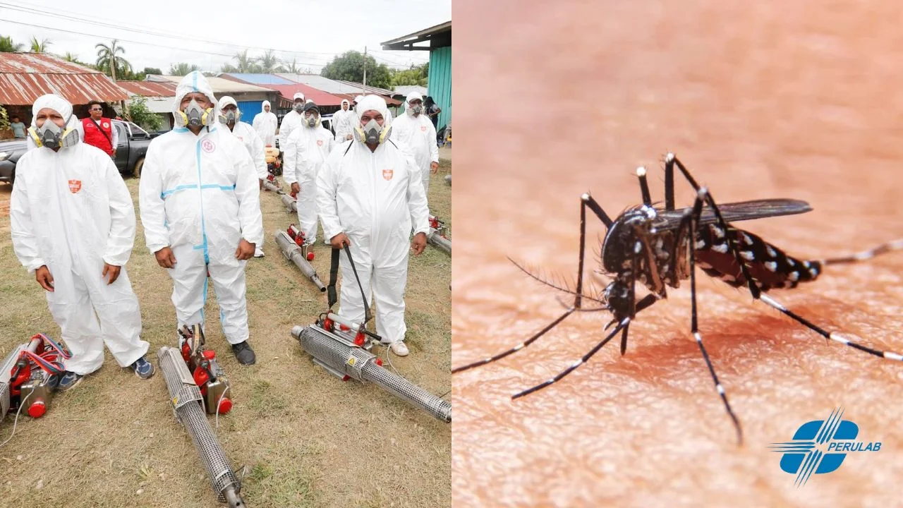 Dengue en el Perú